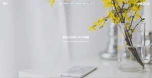 Como crear una pagina web para fotografos, pintores e ilustradores -Pipit Tema