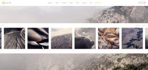 Como crear una pagina web para fotografos, pintores e ilustradores - Shutter Tema