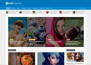 Como crear una pagina web para revistas, editoriales o escritores - Herald Tema