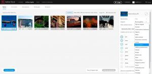 Adobestock como vender fotos online