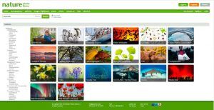como vender fotos online macrostock nature picture library